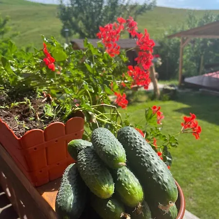 Casa Eden Fit * Faget (Prahova)